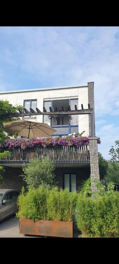 Appartamento Lovely 1 Bedroom With Garden Amsterdam